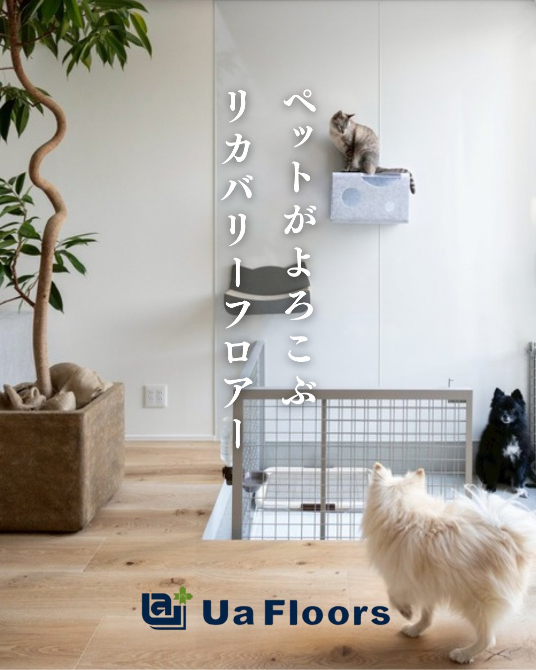 ペットがよろこぶリカバリーフロアー。リカバリーフロアーの床で過ごす犬と猫