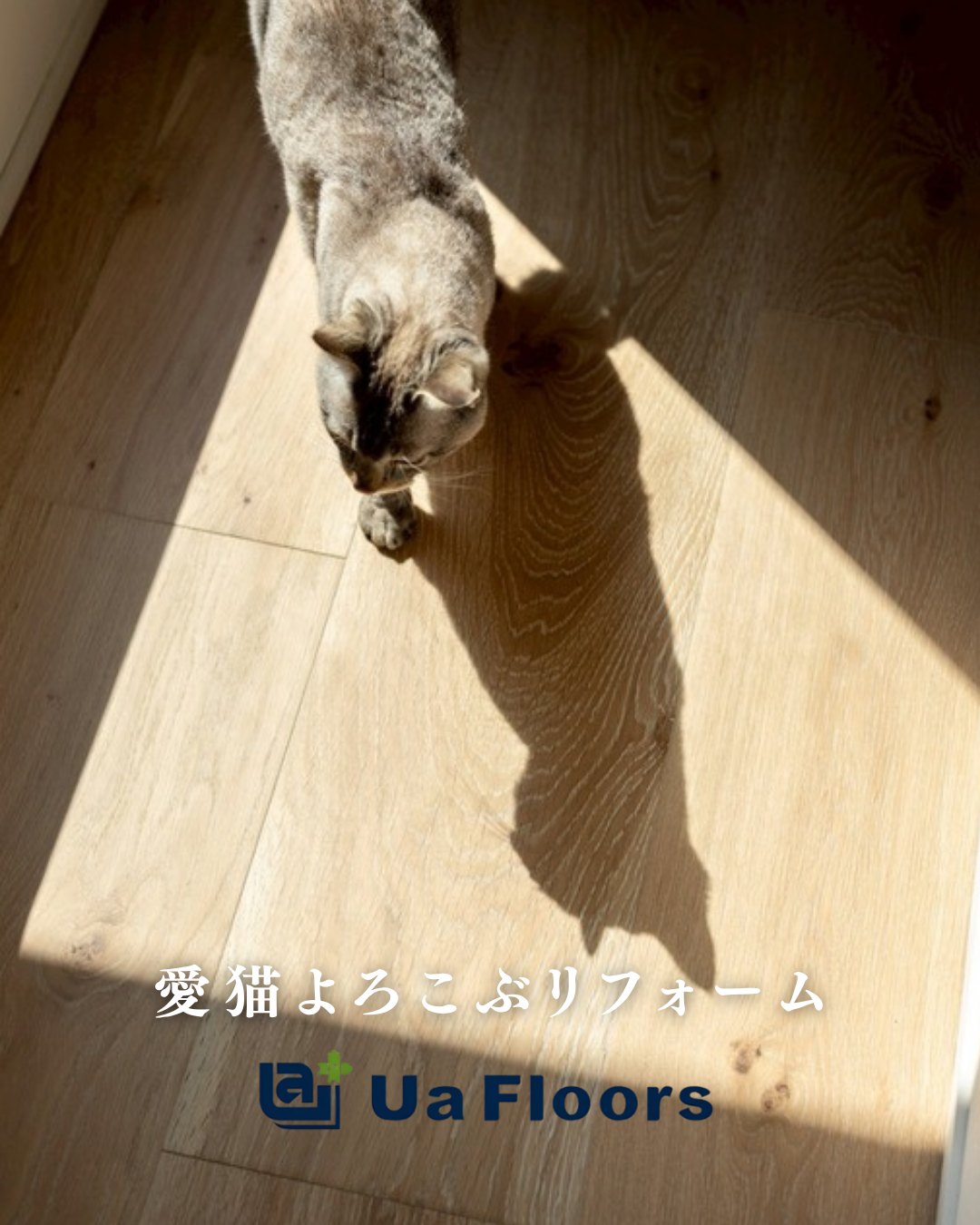 日差しの入るリカバリーフロアーの床を歩く猫。愛猫よろこぶリフォーム